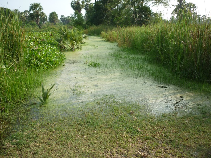 ไปสำรวจนากันดีกว่า