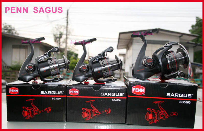 ryobi arctica 8000 vs penn sargus 6000 ตัวไหนน่าใช้กว่ากัน (ตีเหยื่อสดชะโด)