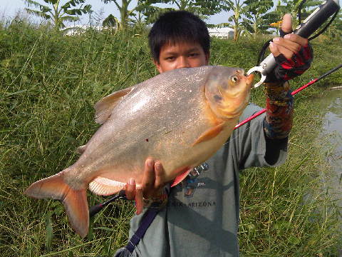 ตามล่าไอฝาโอ้งงง