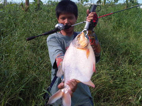 ตามล่าไอฝาโอ้งงง