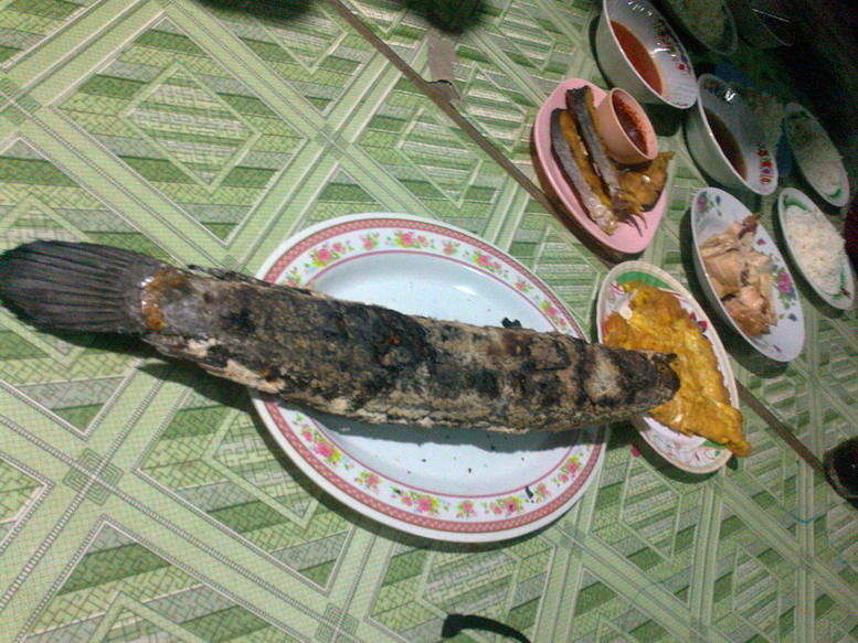 กบโทน โดนอีกแว้ว(เผาซะ)
