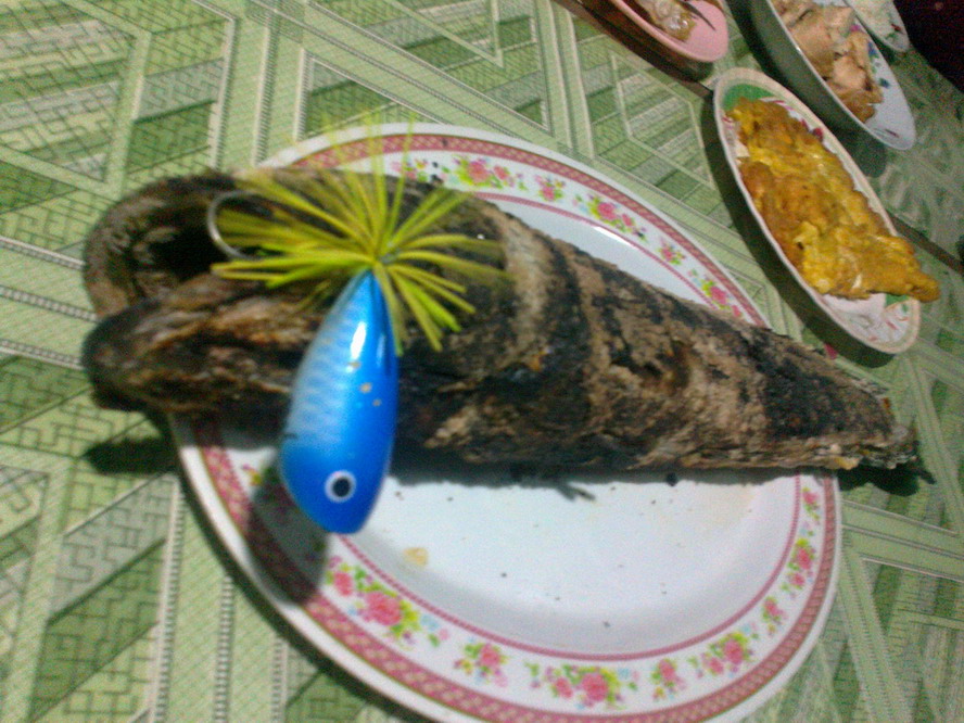 กบโทน โดนอีกแว้ว(เผาซะ)