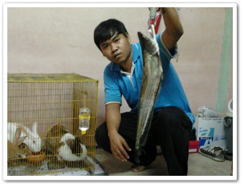 ในวันที่เอารอกไปล้าง ขอทำตามวิธีภูมิปัญญาชาวบ้าน (ยกยอ)
