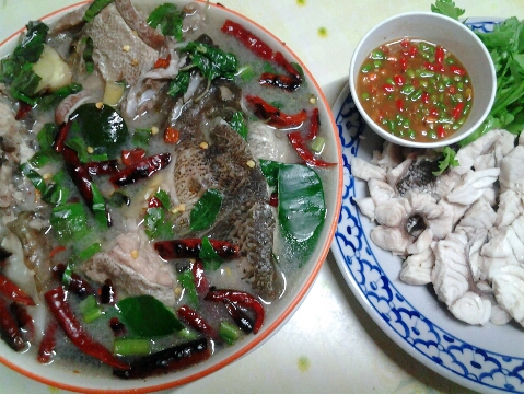 ไปตีเก๋าไซร์ลูกหมามาครับ