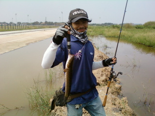 เทสน้องนีโม่