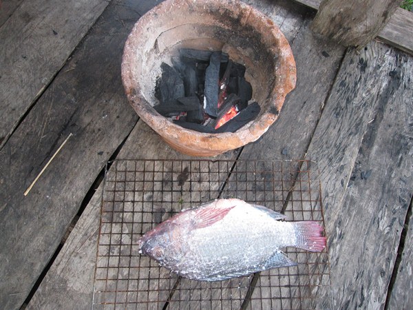 นิลเล็ก ( บู่ใหญ่ )