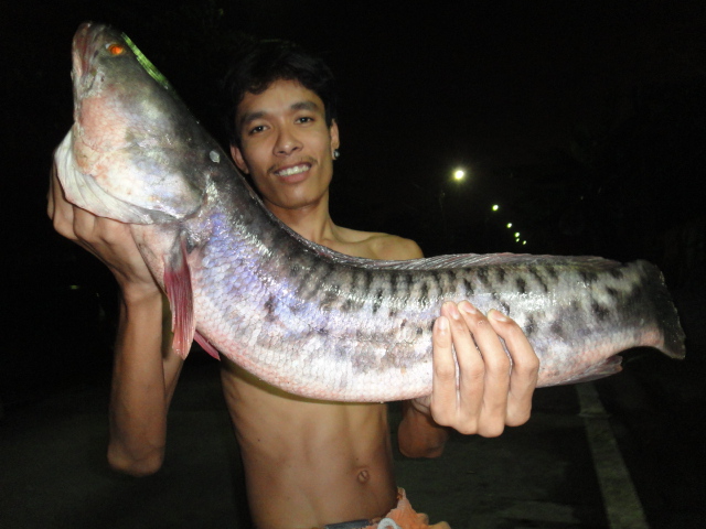 1 วันกับอยุธยา
