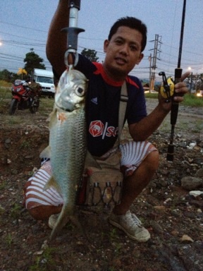 ปลาฝักพร้าภูเก็ต