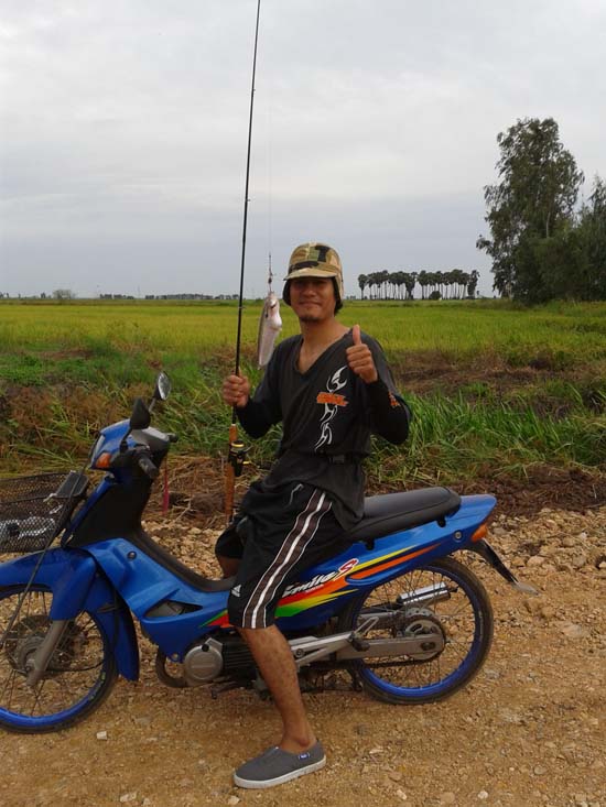 ชะโดรวม