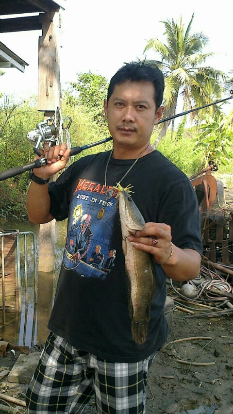วันว่างๆไม่รู้ทำไร เลยจัดมันหลังบ้าน