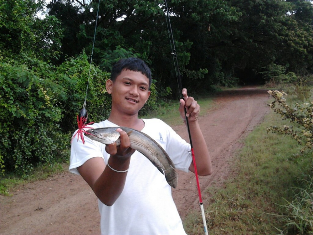 ลองส่งครับ