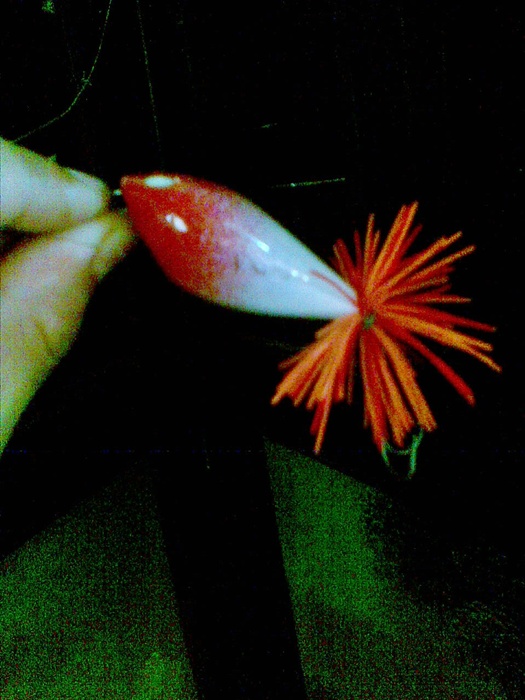 เทสกบ ทำสี แล้วววว(กบArMxiiz) ครับน้าๆ