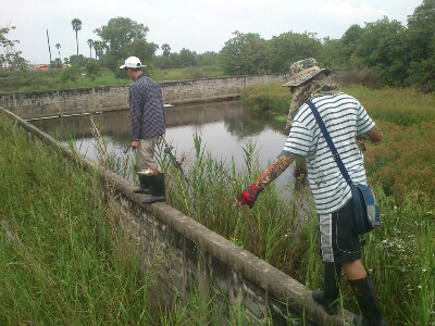 เส้นทางสู่ฝัน