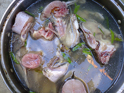 8ริ้ว-คลองเขื่อนกักกระจาย