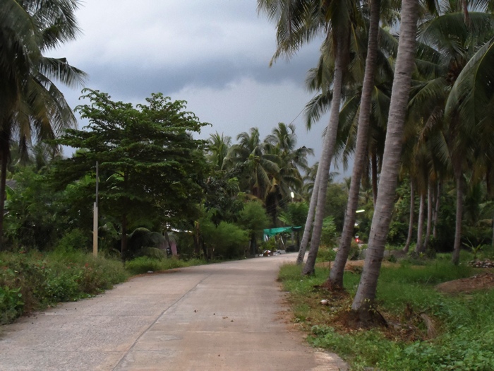 ก่อนฝนจะมา