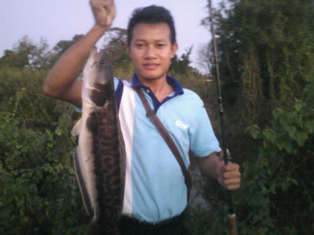 หลังที่ทำงานไม่เคยเงียบครับ 