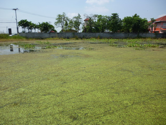 ซ้ำหมายข้างทางอีกรอบ