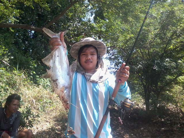 เปลี่นยแนวลงแม่น้ำ  ยามเช้า  ป่าสัก ยุอยา
