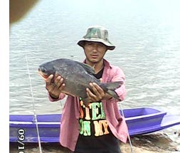 ตกหน้าดินด้วยใส้เดือนดง