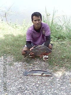 ตกหน้าดินด้วยใส้เดือนดง
