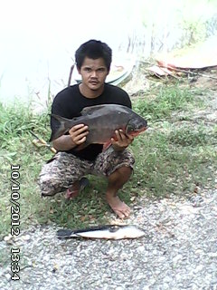 ตกหน้าดินด้วยใส้เดือนดง