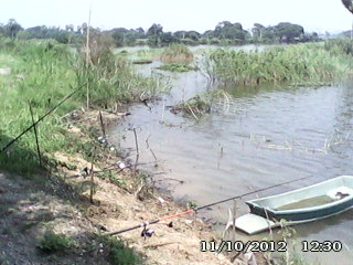 ตกหน้าดินด้วยใส้เดือนดง