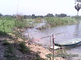 ตกหน้าดินด้วยใส้เดือนดง