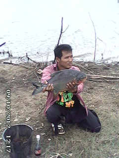 ตกหน้าดินด้วยใส้เดือนดง