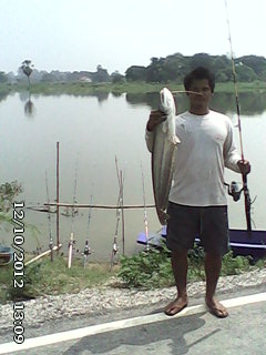 ตกหน้าดินด้วยใส้เดือนดง