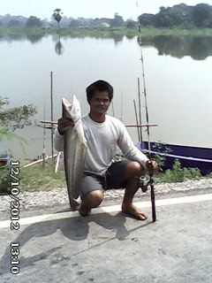 ตกหน้าดินด้วยใส้เดือนดง