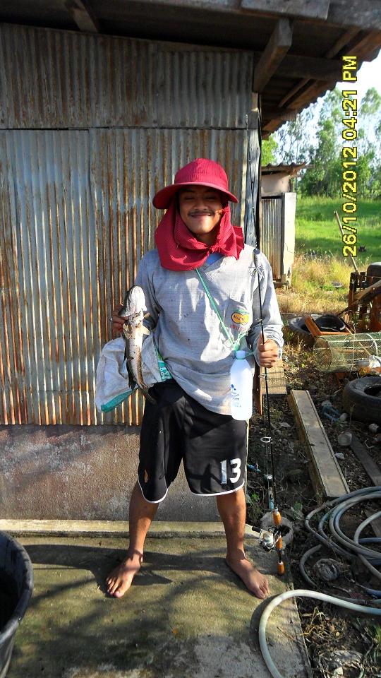 วันหยุด กับ กบโทน