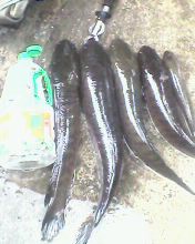 ฝากถึงเพื่อนๆๆทีมเรือนจำอุบล..แบบบาง...