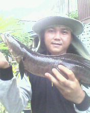 ฝากถึงเพื่อนๆๆทีมเรือนจำอุบล..แบบบาง...