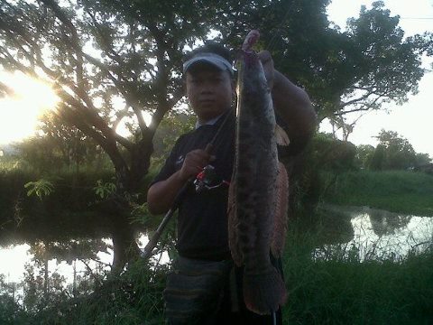 ยักษ์ใหญ่ในคลอง