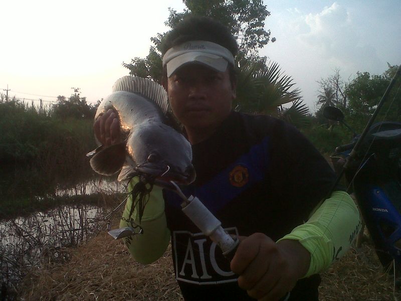 ยักษ์ใหญ่ในคลอง