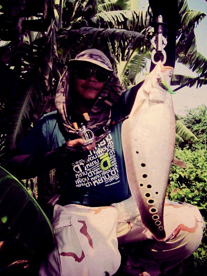 Texas Rig 199    ปลากรายหลงกล! 