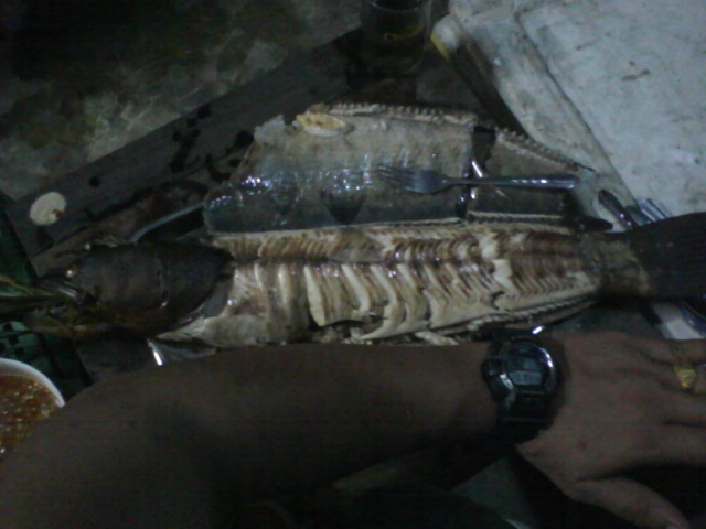 ลองส่งครั้งแรก