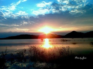 สวนวังทิพย์ที่ นครนายก มีปลากระสูบไห้ตกไหมครับ