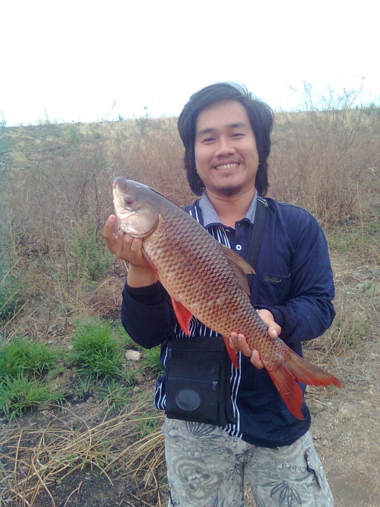 >>>ยี่สกอ่างเก็บน้ำห้วยใหญ่ ตะคร้อ ตัวแรกในชิวิตของการตกหน้าดิน<<<
