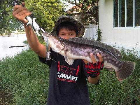 ปลาสนามกอฟกัดกระจาย 17