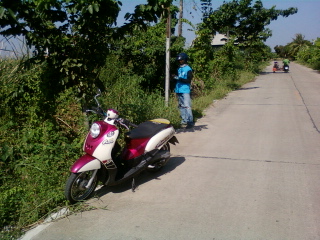 ช่อนเล็กๆ กับ กบ เล็ก lek
