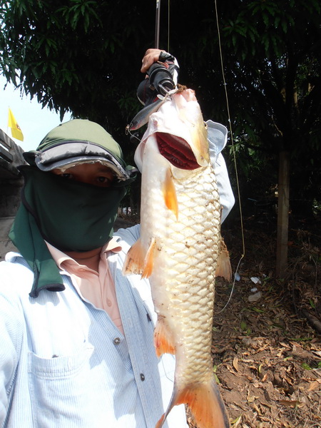 กระสูบแม่น้ำ