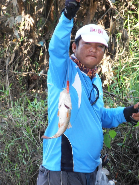 กระสูบแม่น้ำ