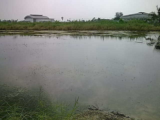   test    กบ อ๊บ อ๊บ dk