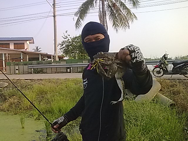    test    กบ อ๊บ อ๊บ dk