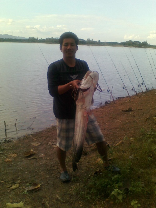 ปลาค้าวหนองขวางพะเยา