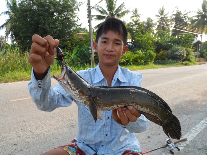 ..มันต้องลอง..