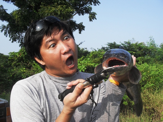 ชะโดลพบุรีก็มีเหมือนกัน