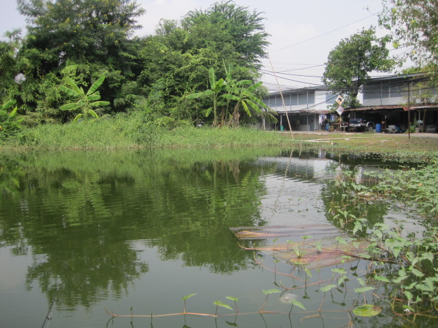 ช่อนเมืองนนท์ กับงานแข่งนิด ๆ 