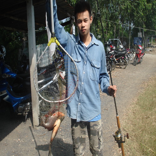 4-11-12 บ่อตกปลาหนุ่มฟิชซิ่งบาววัว(ปลารวม)